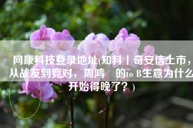 网康科技登录地址(知料丨奇安信上市，从战友到竞对，周鸿祎的to B生意为什么开始得晚了？)