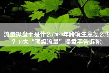 流量操盘手是什么(2020年跨境生意怎么做？10大“顶级流量”操盘手告诉你)