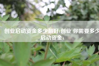 创业启动资金多少最好(创业 你需要多少启动资金)