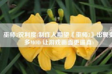 巫师3锐利度(制作人期望《巫师3》出现更多MOD 让游戏画面更逼真)