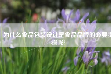 为什么食品包装设计是食品品牌的必要步骤呢?