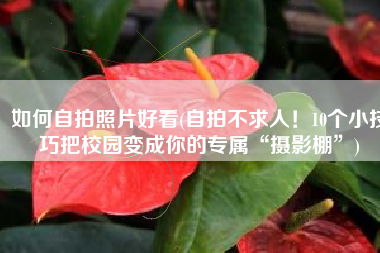 如何自拍照片好看(自拍不求人！10个小技巧把校园变成你的专属“摄影棚”)
