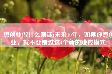 想创业做什么赚钱(未来10年，如果你想创业，就不要错过这4个新的赚钱模式)