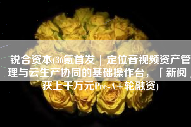 锐合资本(36氪首发 | 定位音视频资产管理与云生产协同的基础操作台，「新阅」获上千万元Pre-A+轮融资)