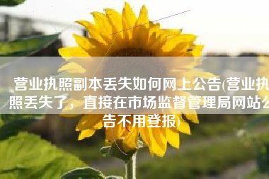 营业执照副本丢失如何网上公告(营业执照丢失了，直接在市场监督管理局网站公告不用登报)