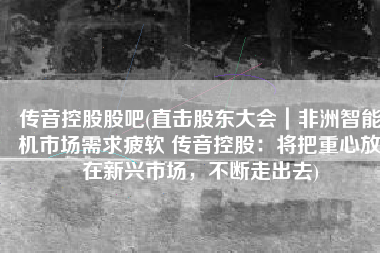 传音控股股吧(直击股东大会｜非洲智能机市场需求疲软 传音控股：将把重心放在新兴市场，不断走出去)
