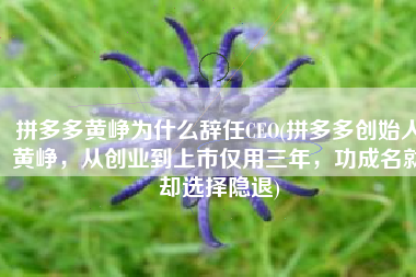 拼多多黄峥为什么辞任CEO(拼多多创始人黄峥，从创业到上市仅用三年，功成名就却选择隐退)