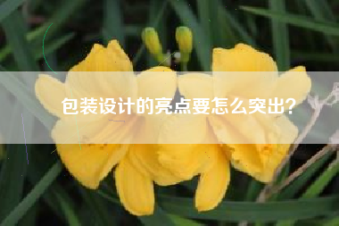 包装设计的亮点要怎么突出？