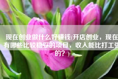 现在创业做什么好赚钱(开店创业，现在有哪些比较稳妥的项目，收入能比打工强的？)