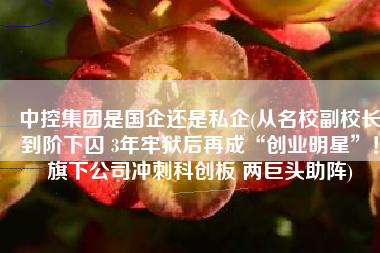 中控集团是国企还是私企(从名校副校长到阶下囚 3年牢狱后再成“创业明星”！旗下公司冲刺科创板 两巨头助阵)