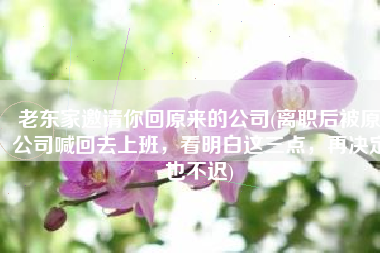 老东家邀请你回原来的公司(离职后被原公司喊回去上班，看明白这三点，再决定也不迟)