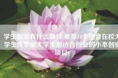 学生创业有什么项目(推荐10个适合在校大学生或毕业大学生都适合创业的小本创业项目)