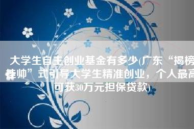 大学生自主创业基金有多少(广东“揭榜挂帅”式引导大学生精准创业，个人最高可获30万元担保贷款)