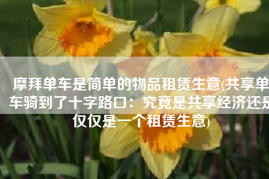 摩拜单车是简单的物品租赁生意(共享单车骑到了十字路口：究竟是共享经济还是仅仅是一个租赁生意)