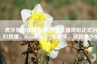 虎牙孤影在线直播(虎牙主播孤影正式回归直播，Hero战队：2天训练，学到多少呢？)