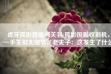 虎牙孤影直播间关羽(孤影国服收割机，一手关羽太细节，老夫子：这发生了什么？)