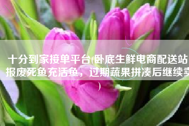十分到家接单平台(卧底生鲜电商配送站：报废死鱼充活鱼，过期蔬果拼凑后继续卖)