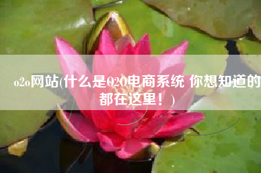 o2o网站(什么是O2O电商系统 你想知道的都在这里！)