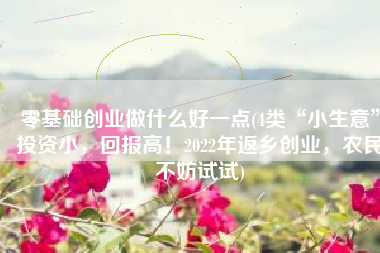 零基础创业做什么好一点(4类“小生意”投资小，回报高！2022年返乡创业，农民不妨试试)