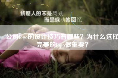公司logo的设计技巧有哪些？为什么选择完美的logo很重要？