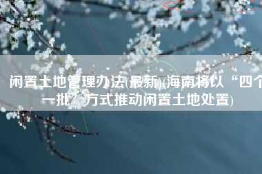 闲置土地管理办法(最新)(海南将以“四个一批”方式推动闲置土地处置)