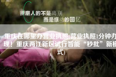 重庆在哪里办营业执照(营业执照1分钟办理！重庆两江新区试行智能“秒批”新模式)