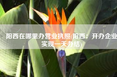 阳西在哪里办营业执照(阳西：开办企业实现一天办结)