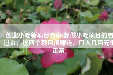 创业小吃新项目方案(想做小吃项目的看过来，这四个项目很赚钱，日入几百元很正常)