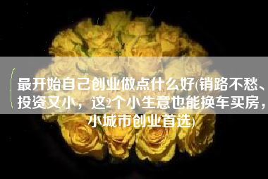 最开始自己创业做点什么好(销路不愁、投资又小，这2个小生意也能换车买房，小城市创业首选)