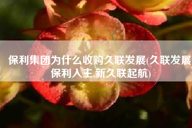 保利集团为什么收购久联发展(久联发展:保利入主,新久联起航)