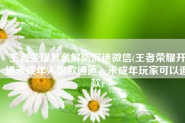 王者荣耀怎么解防沉迷微信(王者荣耀开通未成年人退款通道，未成年玩家可以退款)