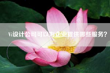 Vi设计公司可以为企业提供哪些服务？