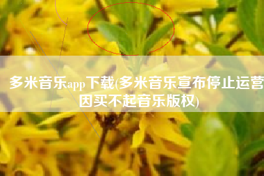 多米音乐app下载(多米音乐宣布停止运营 因买不起音乐版权)
