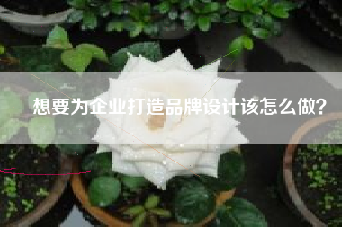 想要为企业打造品牌设计该怎么做？