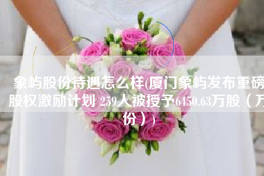 象屿股份待遇怎么样(厦门象屿发布重磅股权激励计划 259人被授予6450.63万股（万份）)