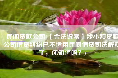 民间贷款公司(【金法说案】涉小额贷款公司借贷纠纷已不适用民间借贷司法解释了，你知道吗？)