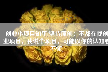 创业小项目知乎(坚持原创：不都在找创业项目，我说个项目，可能以你的认知看不懂)