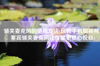 领夹麦克风的使用方法(玩转手机短视频，塞宾领夹麦克风让作品更赏心悦目)