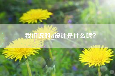 我们说的vi设计是什么呢？