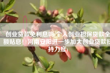 创业贷款免利息吗(个人创业担保贷款全额贴息！河南安阳进一步加大创业贷款扶持力度)