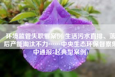 环境监管失职罪案例(生活污水直排、落后产能淘汰不力……中央生态环保督察集中通报5起典型案例)