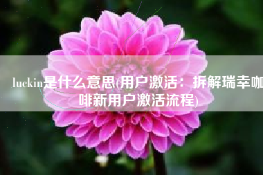 luckin是什么意思(用户激活：拆解瑞幸咖啡新用户激活流程)