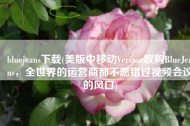 bluejeans下载(美版中移动Verizon收购BlueJeans，全世界的运营商都不愿错过视频会议的风口)