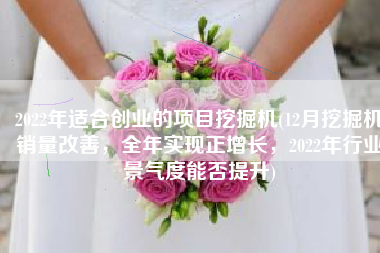 2022年适合创业的项目挖掘机(12月挖掘机销量改善，全年实现正增长，2022年行业景气度能否提升)