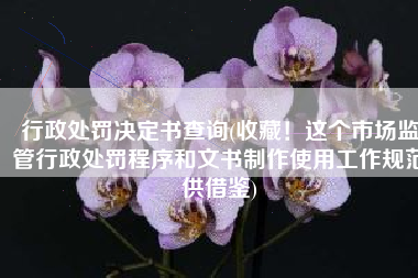 行政处罚决定书查询(收藏！这个市场监管行政处罚程序和文书制作使用工作规范供借鉴)