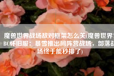 魔兽世界战场敌对框架怎么关(魔兽世界TBC怀旧服：暴雪推出同阵营战场，部落战场终于能秒排了)