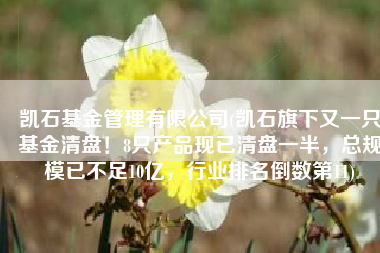 凯石基金管理有限公司(凯石旗下又一只基金清盘！8只产品现已清盘一半，总规模已不足10亿，行业排名倒数第11)