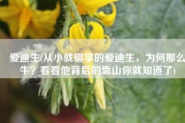 爱迪生(从小就辍学的爱迪生，为何那么牛？看看他背后的靠山你就知道了)