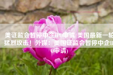 美证监会暂停中企IPO申请(美国最新一轮猛烈攻击！外媒：美国证监会暂停中企IPO申请)