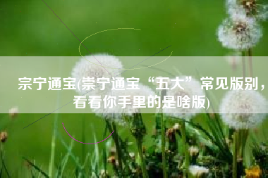 宗宁通宝(崇宁通宝“五大”常见版别，看看你手里的是啥版)